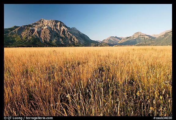  Tall grass prairie and... Autors: Rampage Skaisti dabas skati  :)