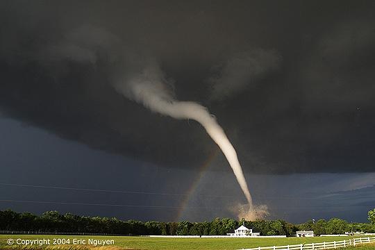  Autors: Fosilija Tornado