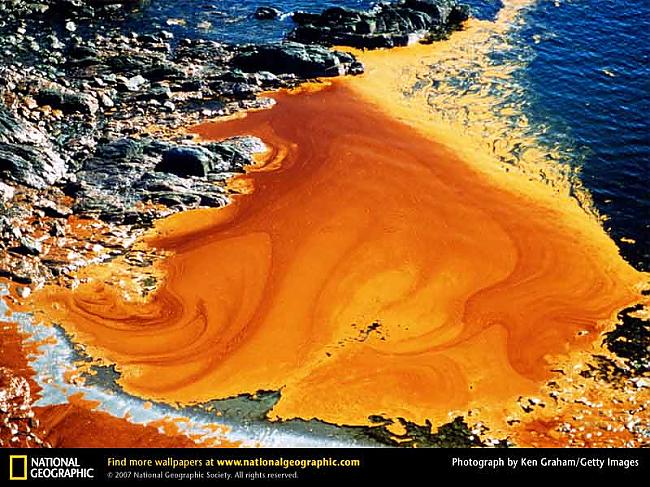 Exxon Valdez kompānija bija... Autors: Caurums Exxon Valdez