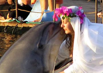 PRECĪBAS AR DELFĪNU Šarona... Autors: Citizen Cope Vai tu precētu delfīnu?