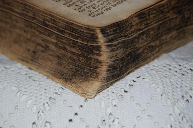 Pirmā Mozus grāmata Puse no... Autors: zapte.kilo200 Grāmata