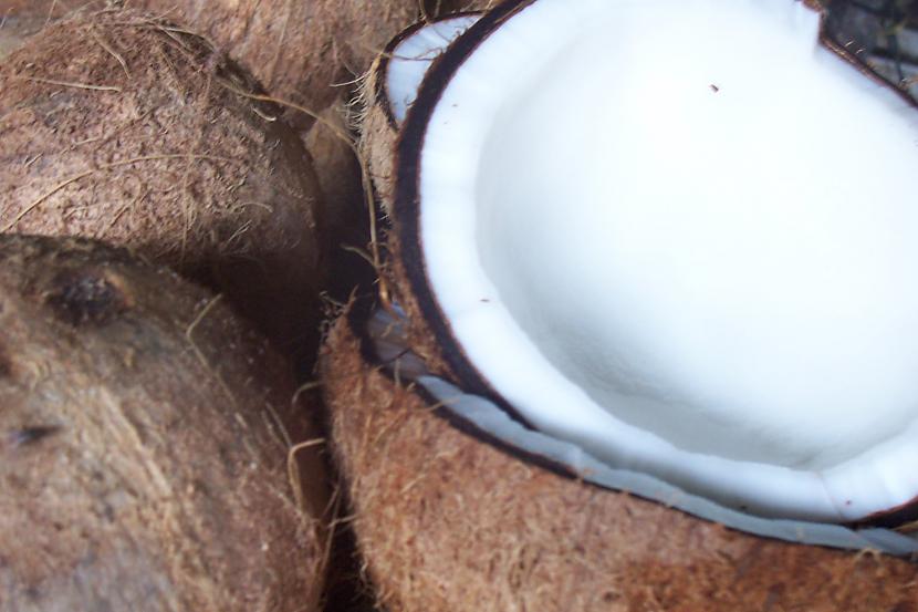 Sķidrums kokosriekstos ir ļoti... Autors: Fosilija 100% SVAIGI FAKTI!!!