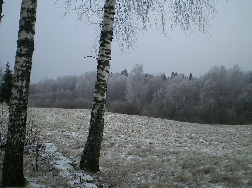  Autors: lahundra Latvijas lauki bez photoshopa mana skatijumā =)