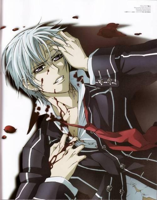 Vampire Knight Autors: kjekata Anime