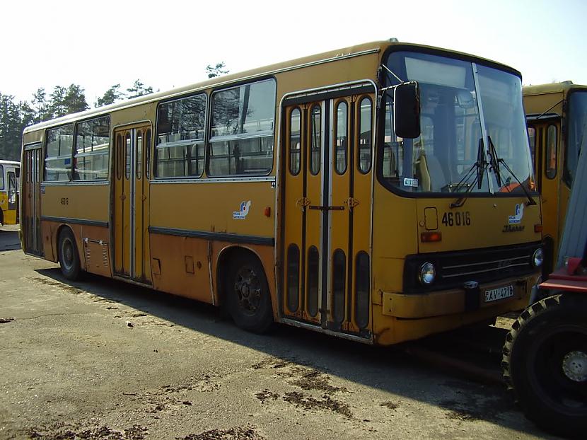 Uz dotu momentu Ikarus... Autors: nighttrainent Rīgas autobusu vēsture.