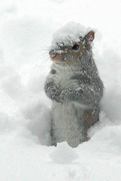 Sniega kušanas temperatūra ir... Autors: kiss Oppa! Pirmais sniegs! :)