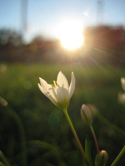 The miracle is not to fly in... Autors: zaigucisz Miracles and magic