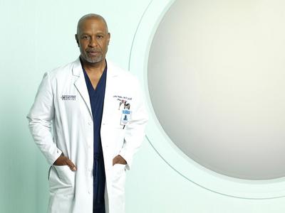  Autors: bekons grey's anatomy