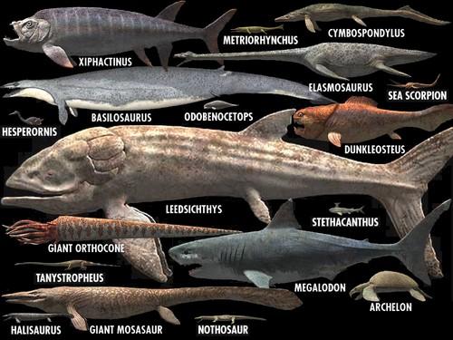 Vidējais Juras periods Autors: Fosilija Dažas krutākās zivis