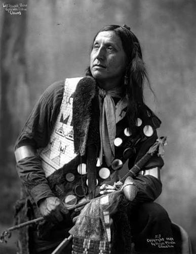 Ziemeļamerikas indiāņu grupām... Autors: Sabana Amerikanoīdu rase