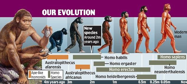  Autors: Kityangel Evolūcijas teorija tiek apšaubīta!