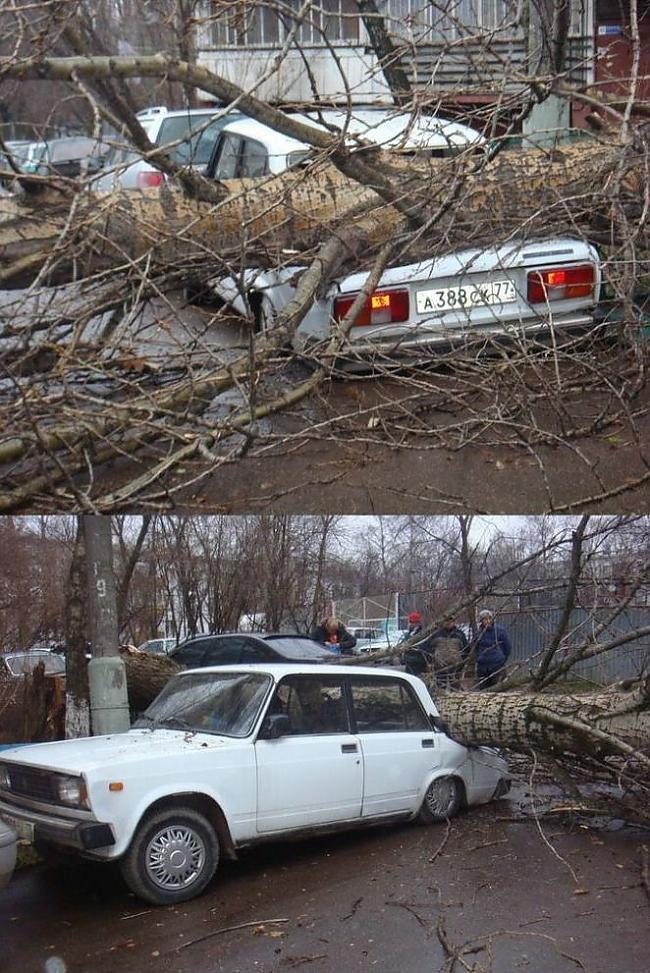  Autors: seglinja Dažādas auto avārijas