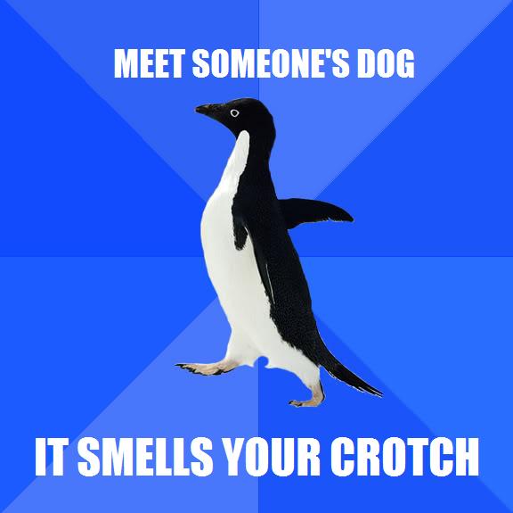  Autors: CourageWolf Socially Awkward Penguin