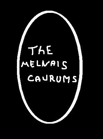  Autors: depthy The melnais caurums.