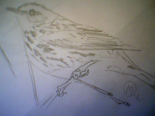 Putns Autors: Voxitude Mani zīmējumi 2