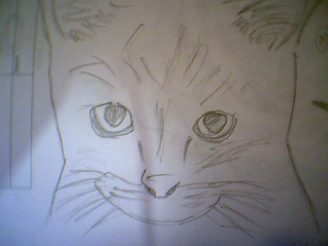 Kaķis Autors: Voxitude Mani zīmējumi 2