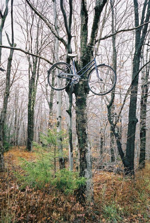  Autors: Placebo Parkojam velosipēdu!