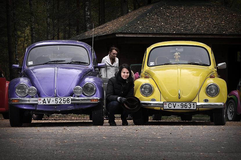  Autors: tpaipalsfoto VW Beetle