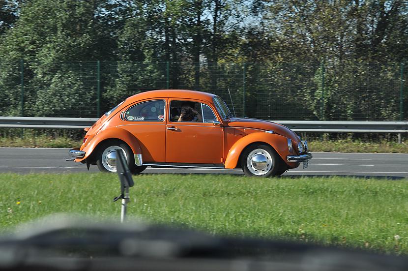  Autors: tpaipalsfoto VW Beetle