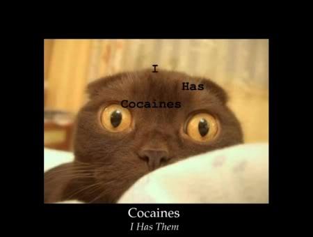  Autors: Fosilija Cocaine cats