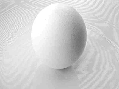  Autors: DeepInThought An Egg