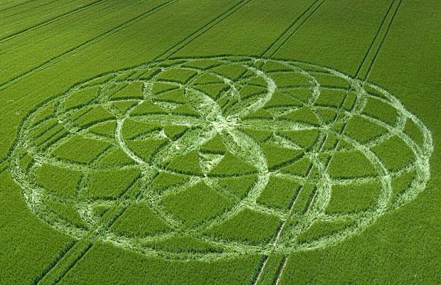 Vai labības apļi ir tikai... Autors: suhafruktiņjš Labības veldrējumi!