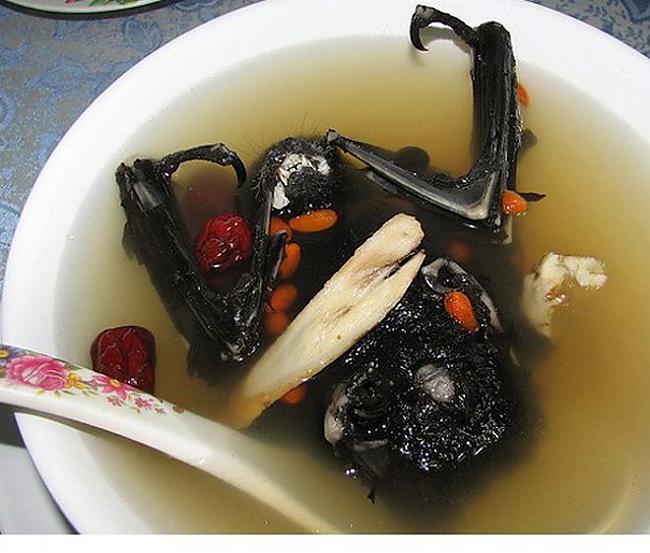 Taizemes sikspārņu zupa... Autors: ralphon 5 nāvīgākie ēdieni