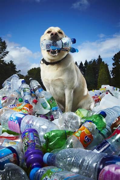 Labradors vārdā Tubby kurš... Autors: Nāriņš Pārsteidzoši!