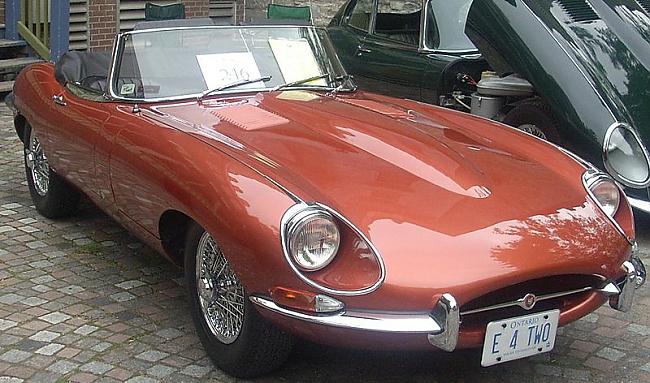  Autors: Fosilija Jaguar E-Type