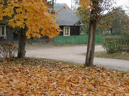 Rudens izdailo ari Strencu Autors: Strencenietis Strenci-nekur nav tik labi ka majas :)