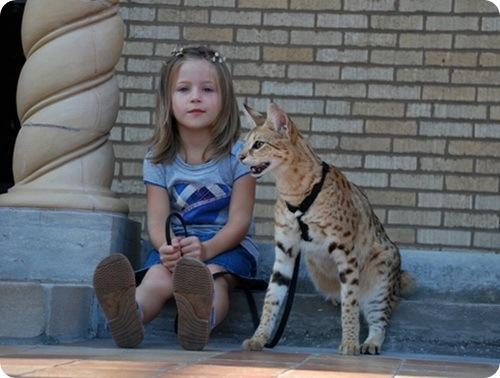  Autors: jankabanka Lielākais kaķis pasaulē.