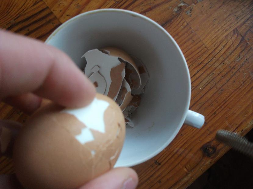 Kad olas uzvārītas tās nomizo Autors: Fosilija Ātrās brokastis.