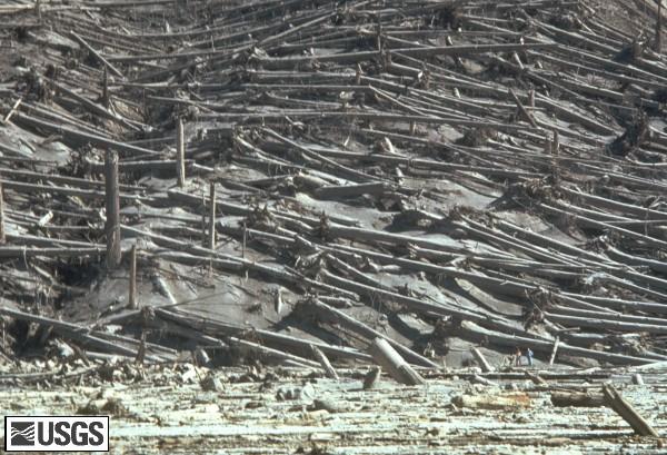 Sprādziena triecienvilnis... Autors: Fosilija Senthelensas vulkāna izvirdums 1980.gadā