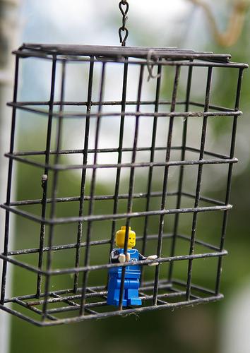 For the birds Autors: awoken A LEGO a day (Jūlijs, 2008)