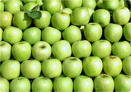 Vidusmēra cilvēks apēd ap 65... Autors: robotxq9 18 fakti par āboliem!
