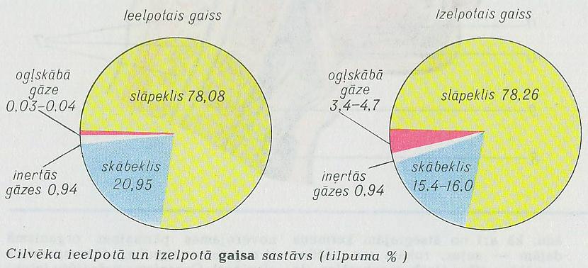 Gaisu veido 34 slāpekļa 15... Autors: Aizliegtais auglis 15 fakti par gaisu