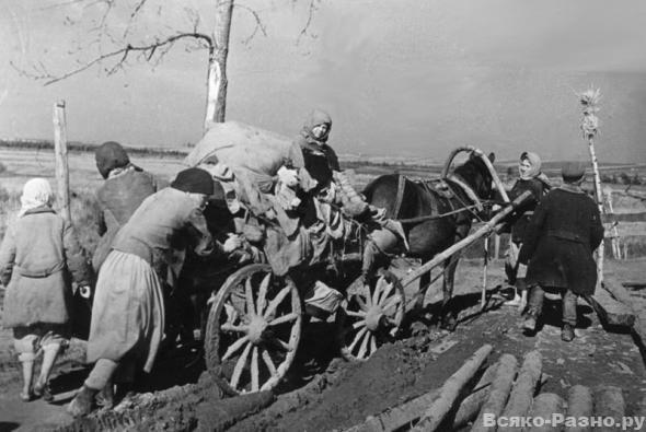 Bēgļi Autors: Meelina 1941. gada bildes