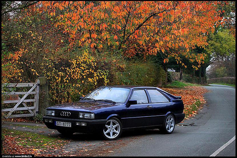  Autors: Ekskluzīvais Audi Randoms......