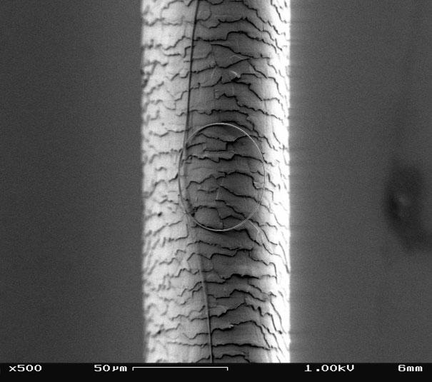 Nano vads uz cilvēka mata Autors: MILFS Aplūkojot pasauli ar mikroskopu
