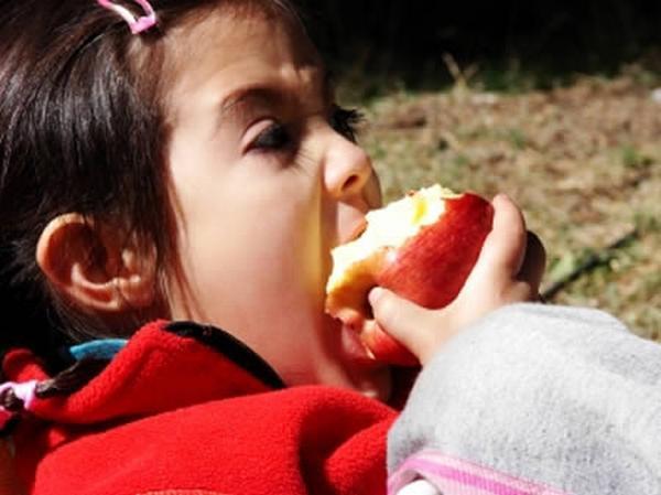 Alerģija pret ābolu kas apēsts... Autors: P a G a L e Dīvainās alerģijas