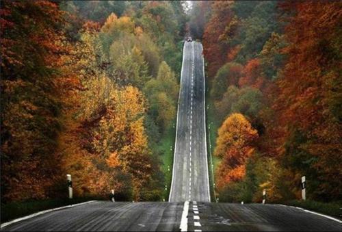  Autors: mangarsho beautifully scary roads