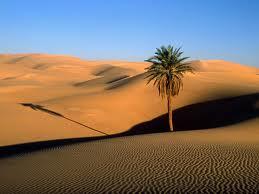 Sahāra arābu valodā nozīmē... Autors: ciLVēks13 Interesanti fakti