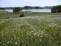 Jērkules ezers Jērkules ezers... Autors: BrekeshViirs Latvijas skaistākie dabas skati.