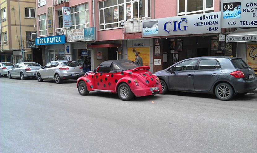 Vabolītes vispār baigi daudz... Autors: Runcendorfs Inčīgi autiņi Ankaras ielās!