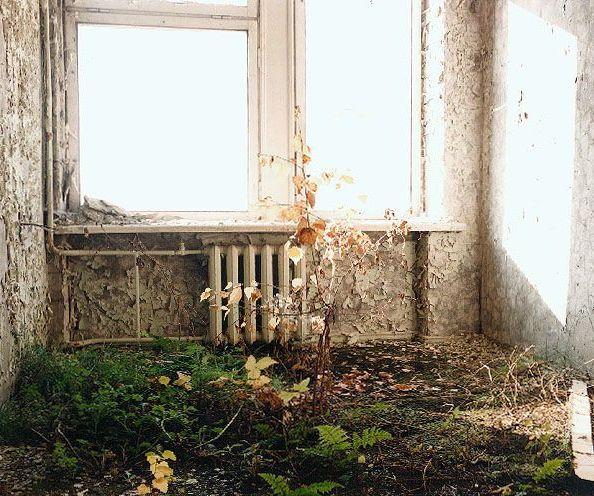 Te derētu iztīrīt dzīvokli... Autors: marijazakis Černobiļas stāsts