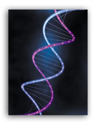Ņem vērā ndash tavs DNS... Autors: ainiss13 Kā pareizi nogalināt cilvēku?