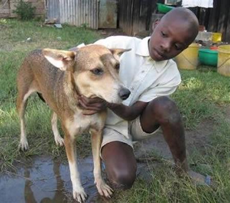 Kenijā Nairobi kāds klaiņojošs... Autors: Zarka Dzīvnieki, kuri izglāba dzīvības.