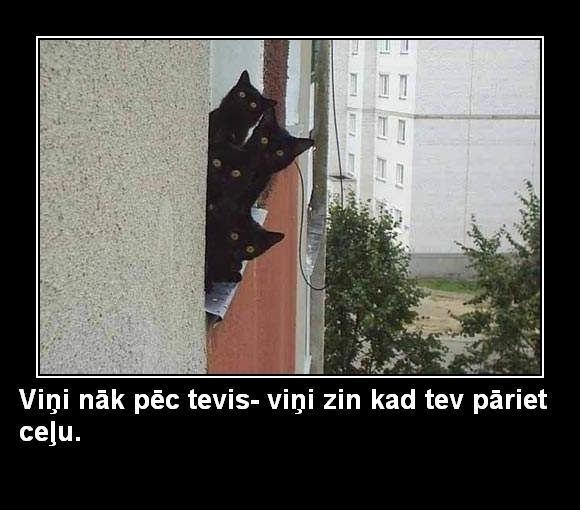  Autors: kraningalva Melnie rāmji Latviski! 5 daļa!