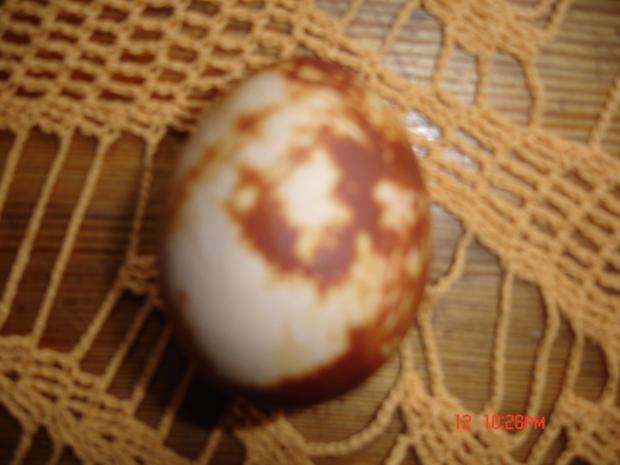 dzivee labaak izskatas  baigi... Autors: KaliZs Manas krasotas olas, brīdinu, ka slikta kvalitaate....