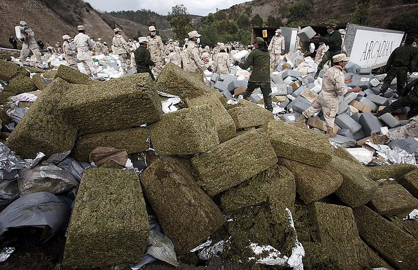   Autors: peechart Tihuānā sadedzina 134 tonnas marihuānas